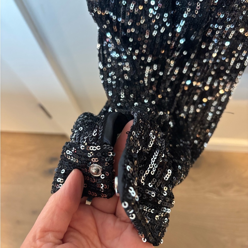 Zara Black and Silver Sequin Cropped Pants 020 - Picture 5 of 7